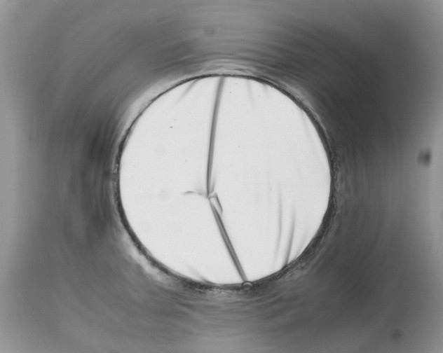 X0000112491379200909281123