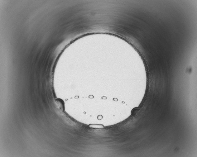 X0000112491380200909281123