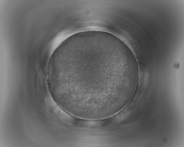 X0000112491381200909281123