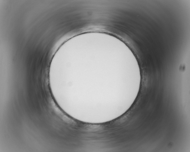 X0000112491382200909281123