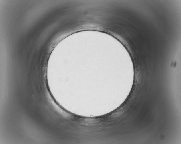 X0000112491383200909281123
