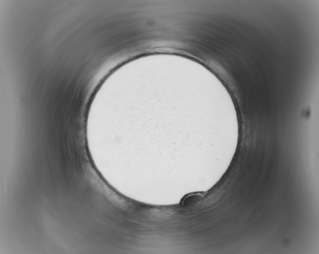 X0000112491384200909281123