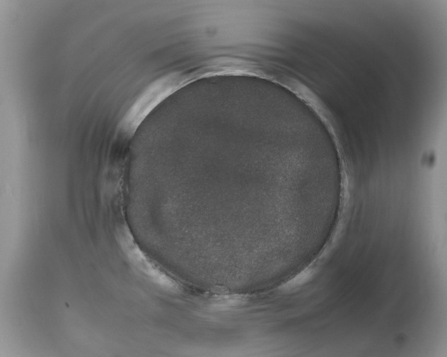 X0000112491385200909281123
