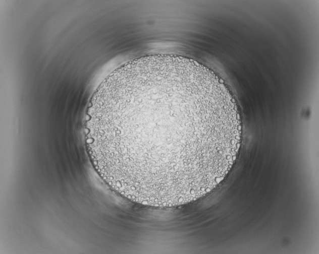 X0000112491386200909281123