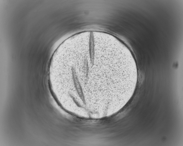 X0000112491387200909281123
