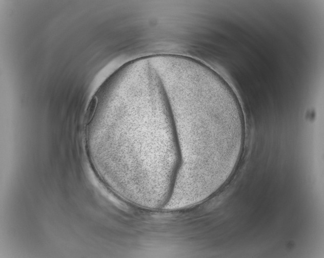X0000112491389200909281123