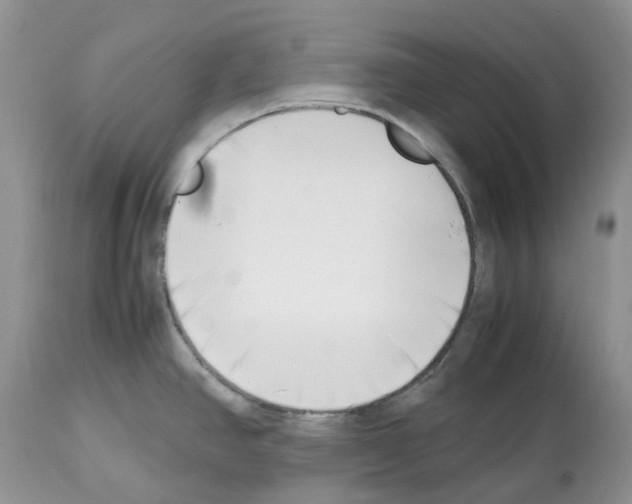 X0000112491390200909281123