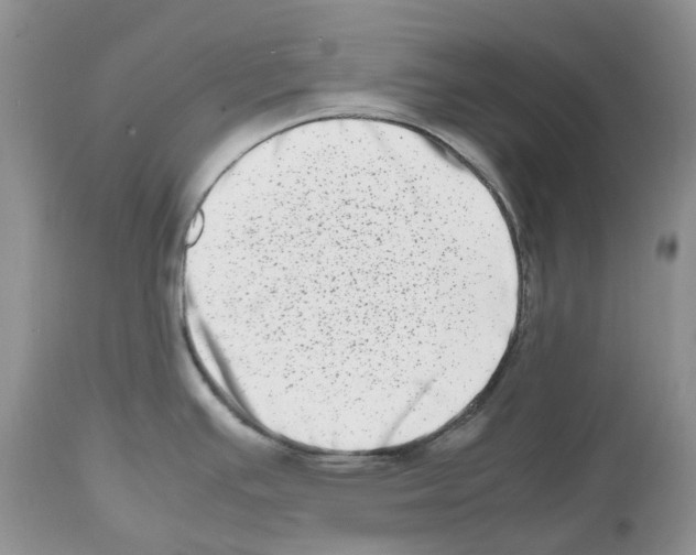 X0000112491391200909281123