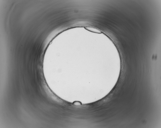 X0000112491392200909281123
