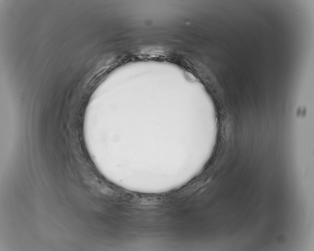 X0000112491393200909281122