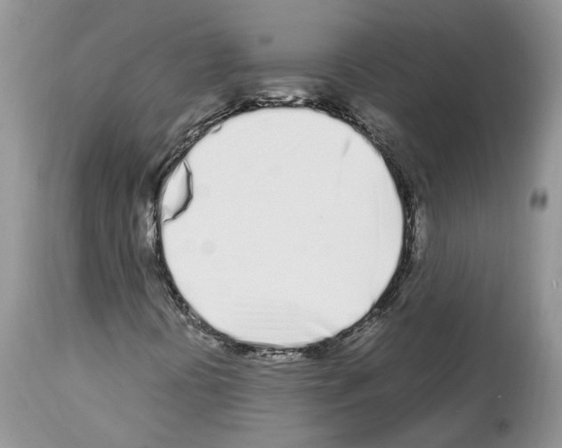 X0000112491394200909281122