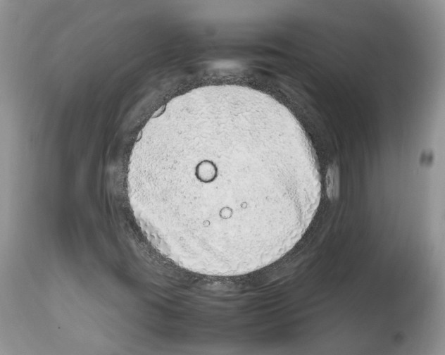 X0000112491395200909281122