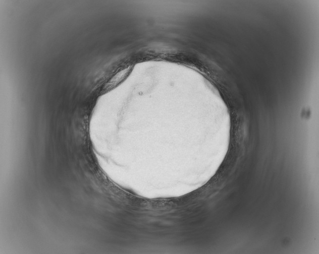 X0000112491397200909281122