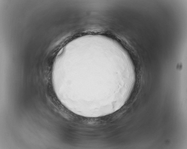 X0000112491399200909281122
