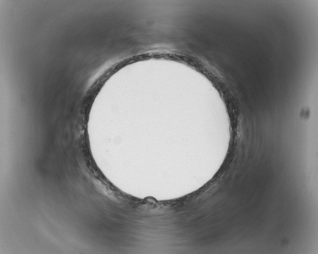 X0000112491400200909281122