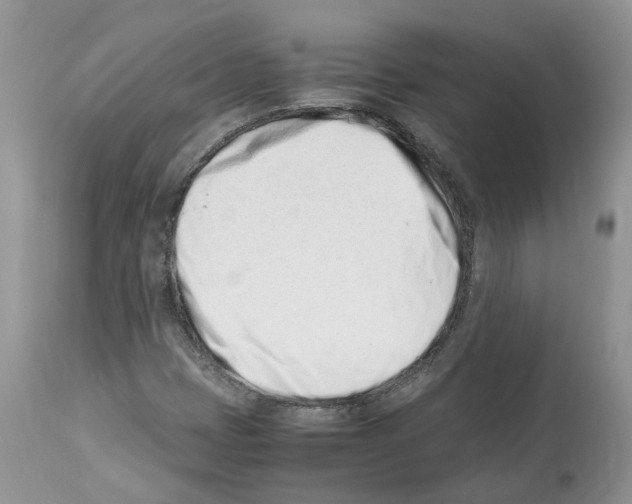X0000112491401200909281122