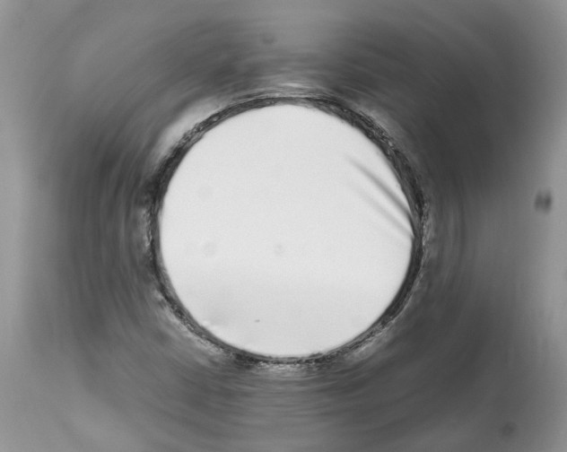 X0000112491402200909281122