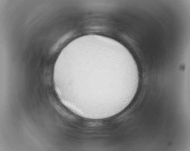 X0000112491403200909281122