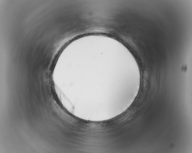 X0000112491404200909281122