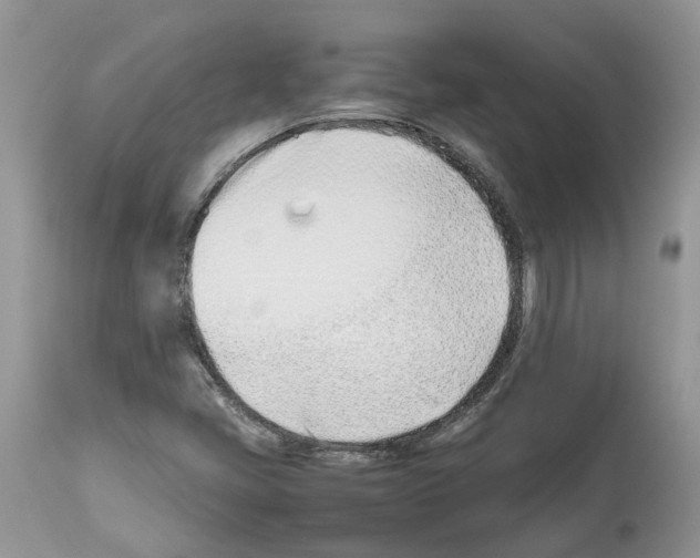 X0000112491405200909281122