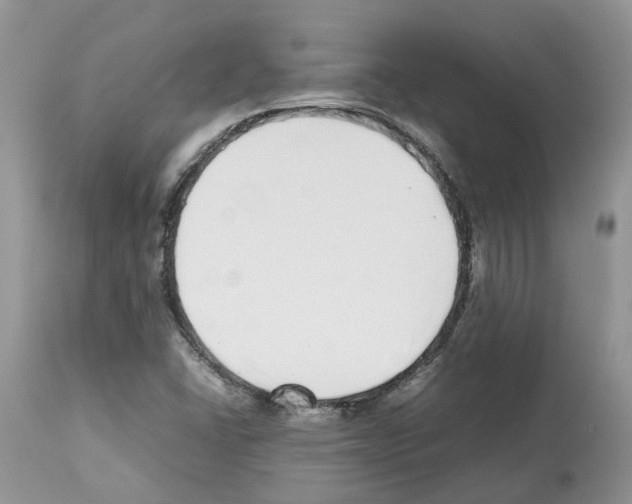 X0000112491406200909281122