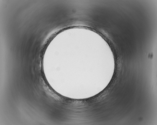 X0000112491408200909281122