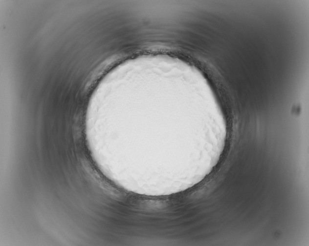 X0000112491409200909281122