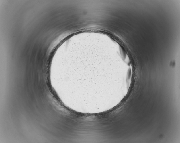 X0000112491410200909281122