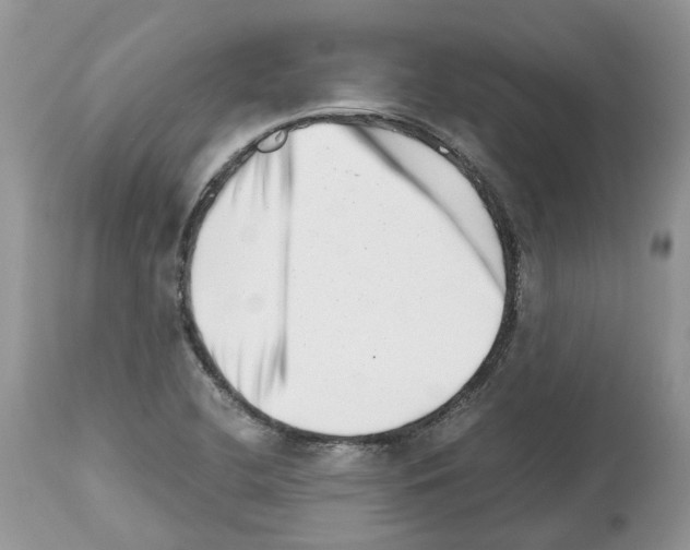 X0000112491412200909281122