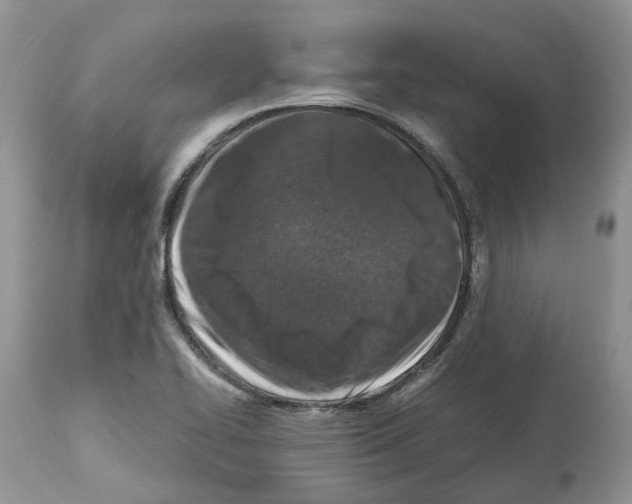 X0000112491414200909281122