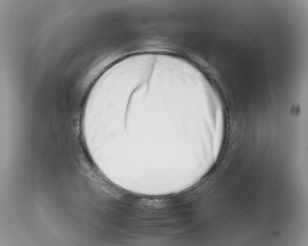 X0000112491415200909281122