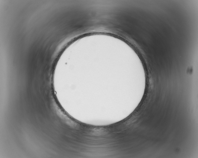 X0000112491416200909281122