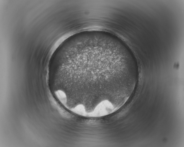 X0000112491418200909281122