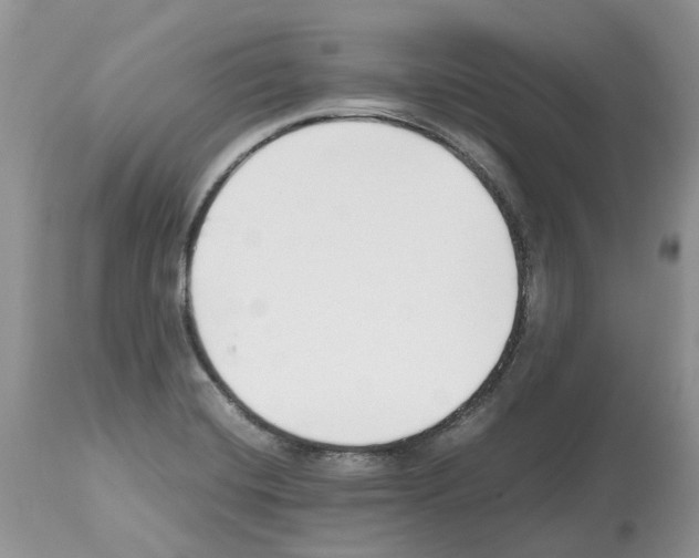 X0000112491420200909281122