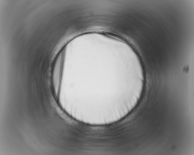 X0000112491421200909281122