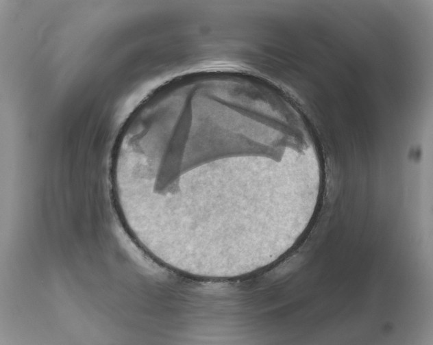 X0000112491422200909281122