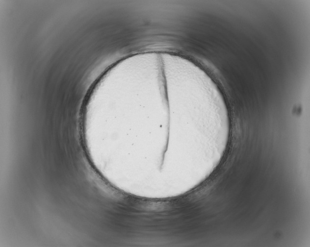 X0000112491423200909281122