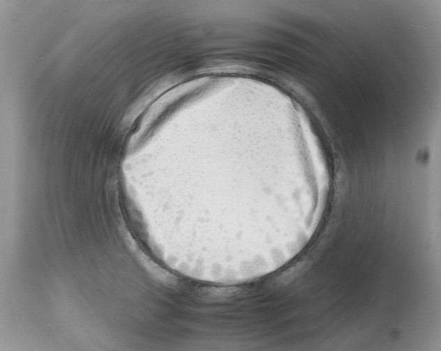 X0000112491425200909281122