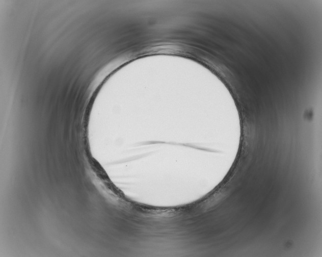 X0000112491426200909281122