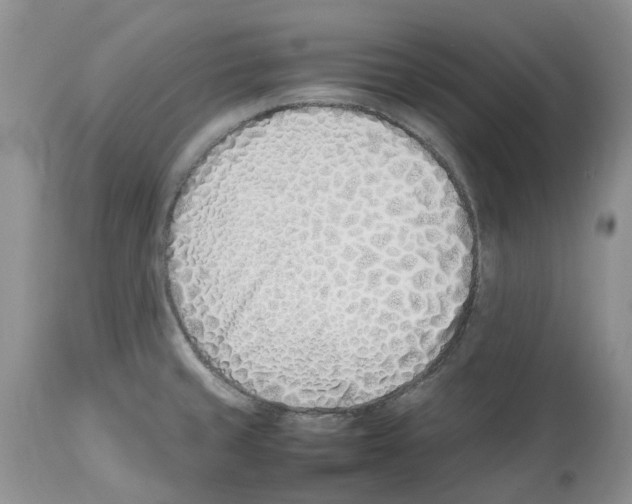 X0000112491429200909281122
