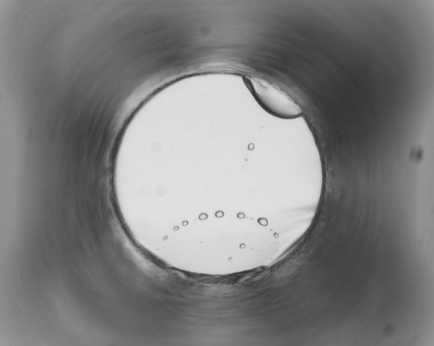 X0000112491430200909281122
