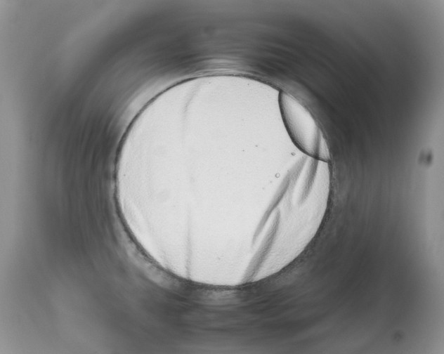X0000112491431200909281123