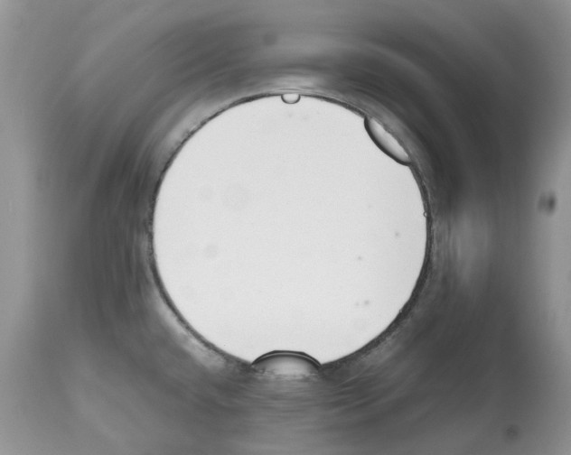 X0000112491432200909281123