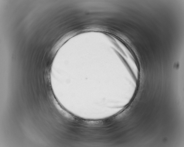 X0000112491433200909281123