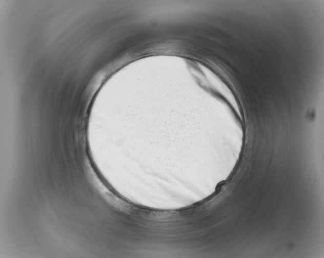 X0000112491434200909281123