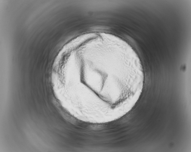 X0000112491435200909281123