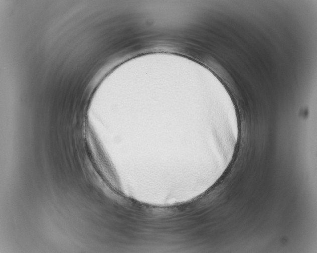 X0000112491436200909281123