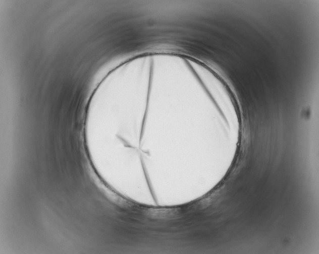 X0000112491437200909281123