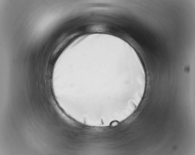 X0000112491438200909281123