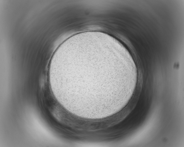 X0000112491439200909281123